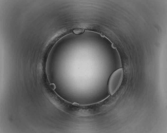 X0000114120256200910051516