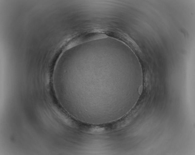 X0000114120257200910051517