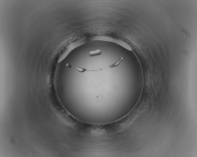 X0000114120258200910051517