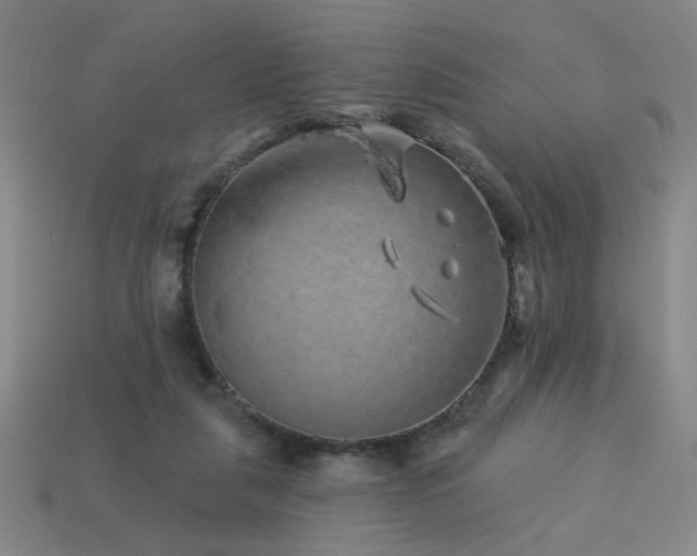 X0000114120259200910051517