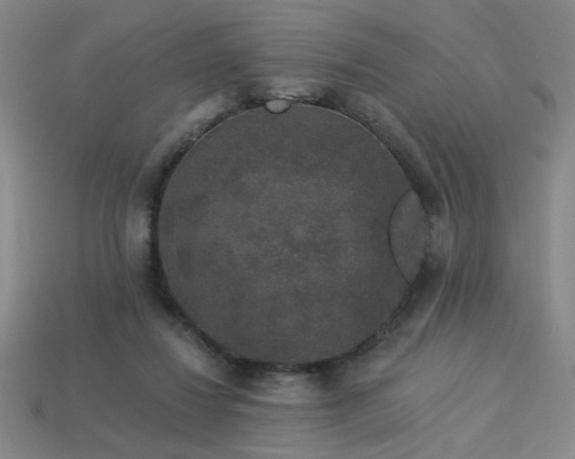 X0000114120260200910051517