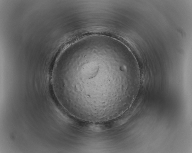 X0000114120261200910051517