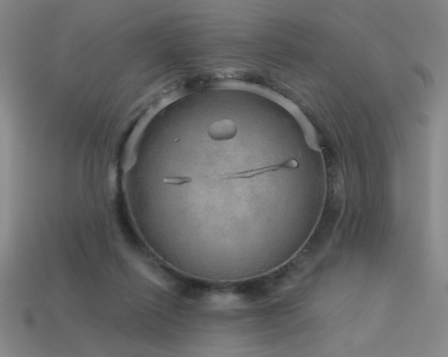 X0000114120262200910051517