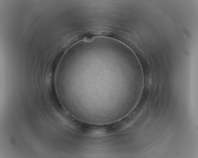 X0000114120263200910051517