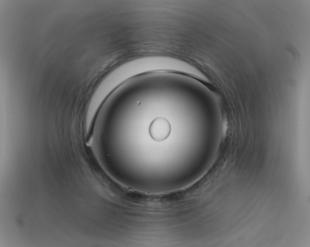 X0000114120264200910051517