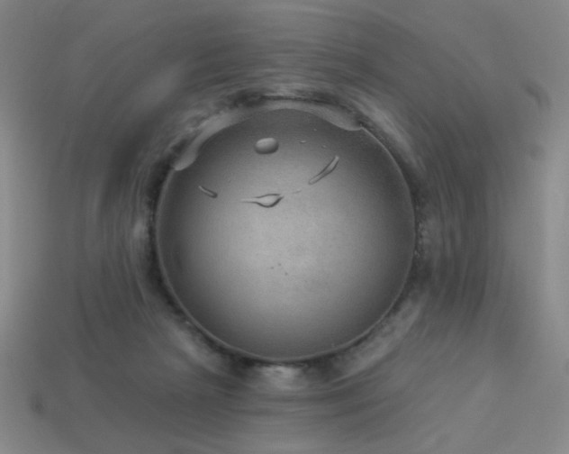 X0000114120265200910051517