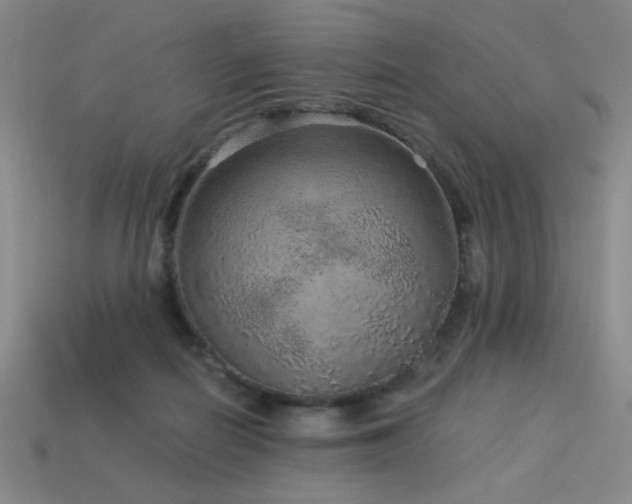 X0000114120266200910051517