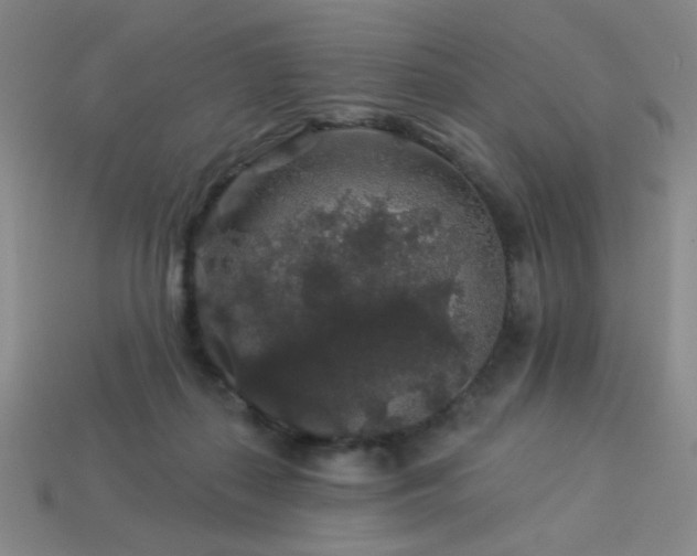 X0000114120267200910051517