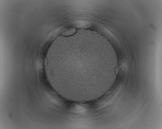 X0000114120268200910051517