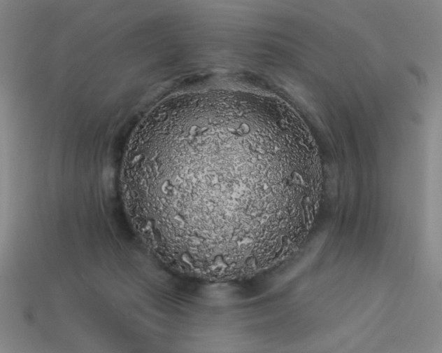 X0000114120269200910051517