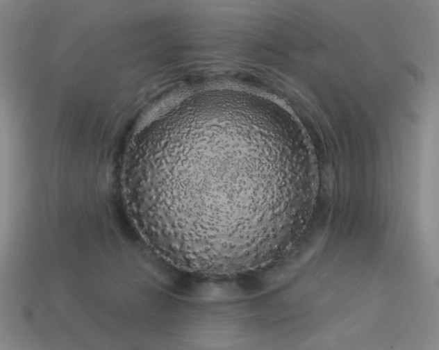 X0000114120270200910051517