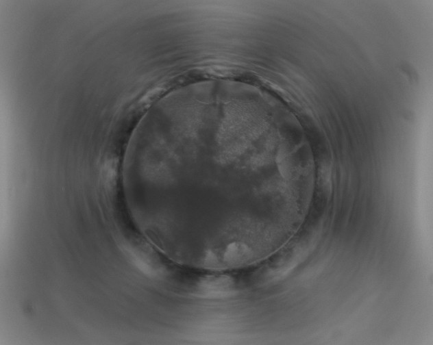 X0000114120271200910051517