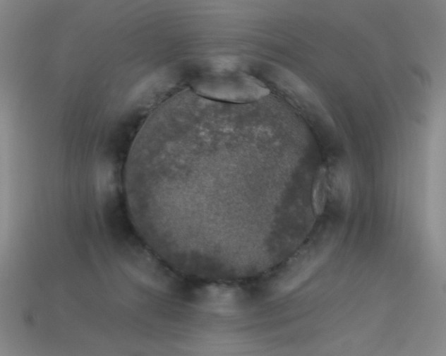 X0000114120272200910051517