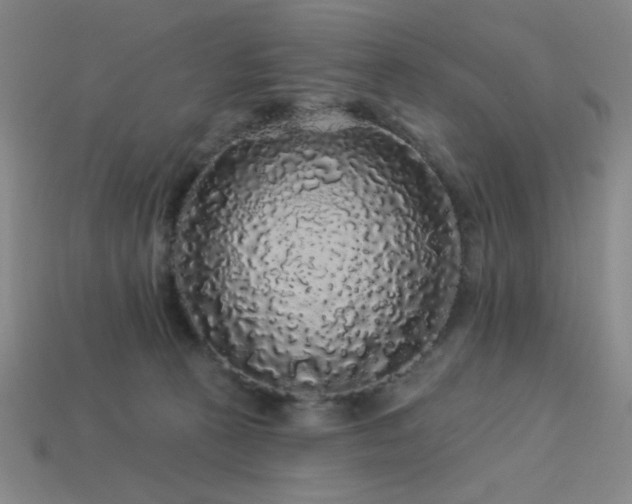 X0000114120273200910051517