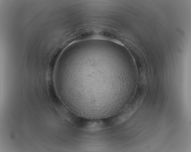 X0000114120274200910051517