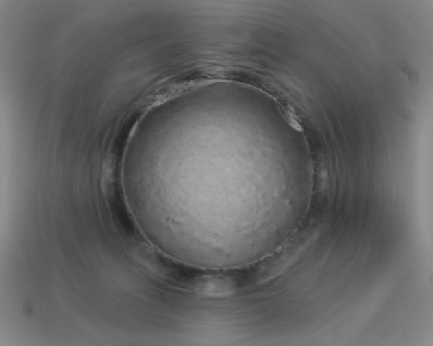 X0000114120275200910051517