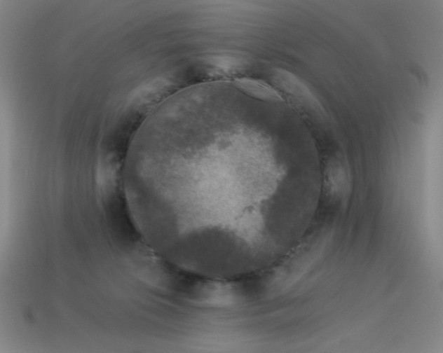 X0000114120276200910051517