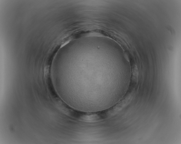 X0000114120278200910051517