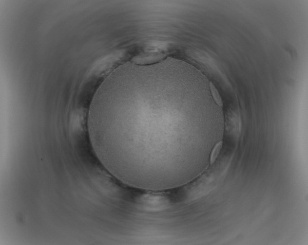 X0000114120280200910051517