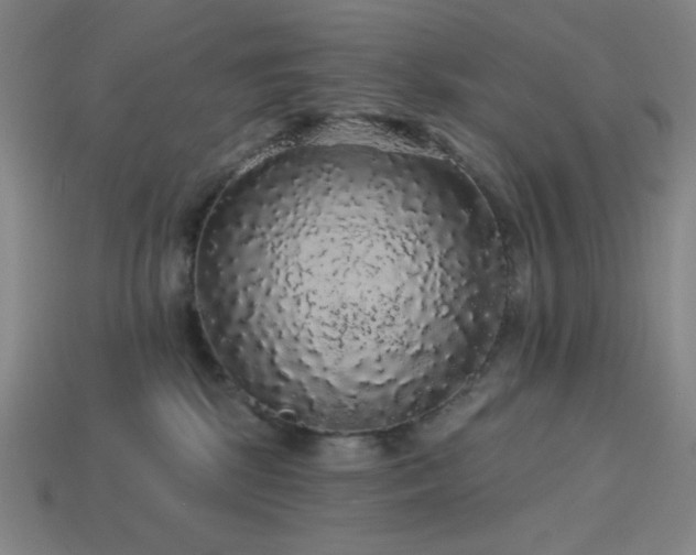 X0000114120281200910051517