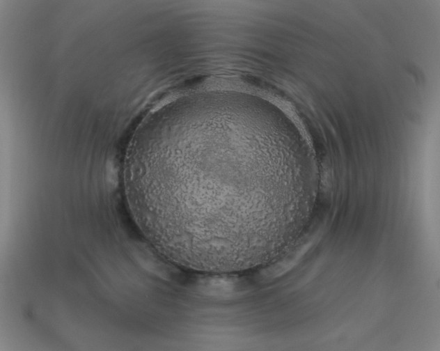 X0000114120282200910051517