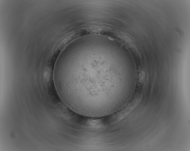 X0000114120283200910051517