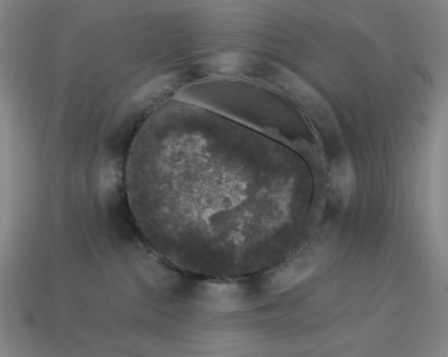 X0000114120284200910051517