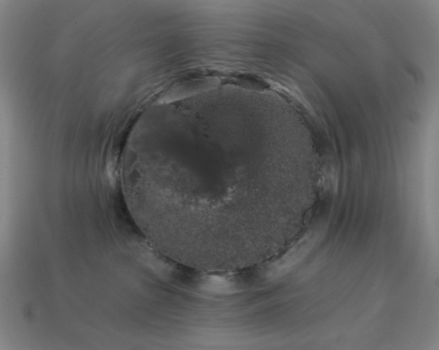 X0000114120285200910051517