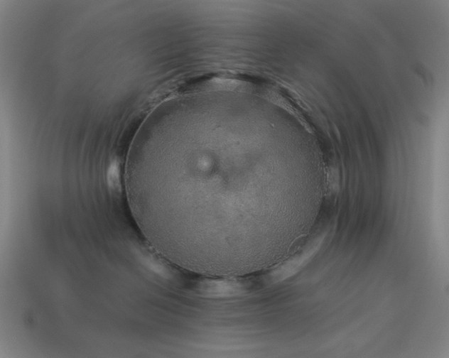 X0000114120286200910051517