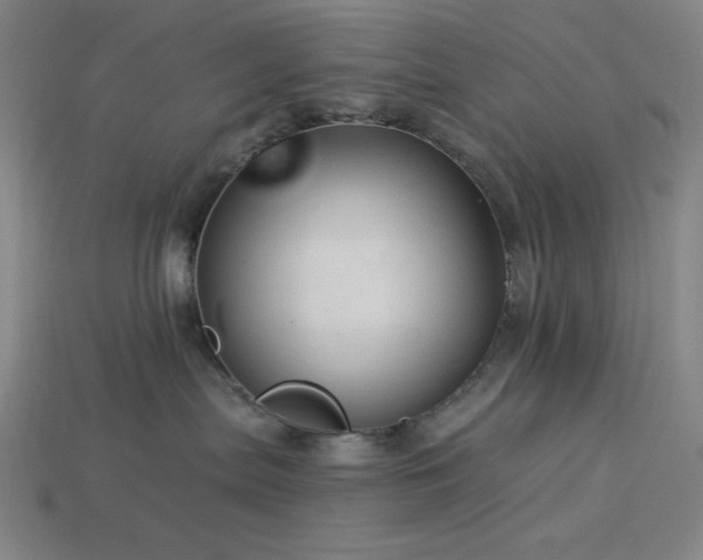 X0000114120287200910051517