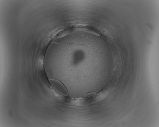 X0000114120288200910051517