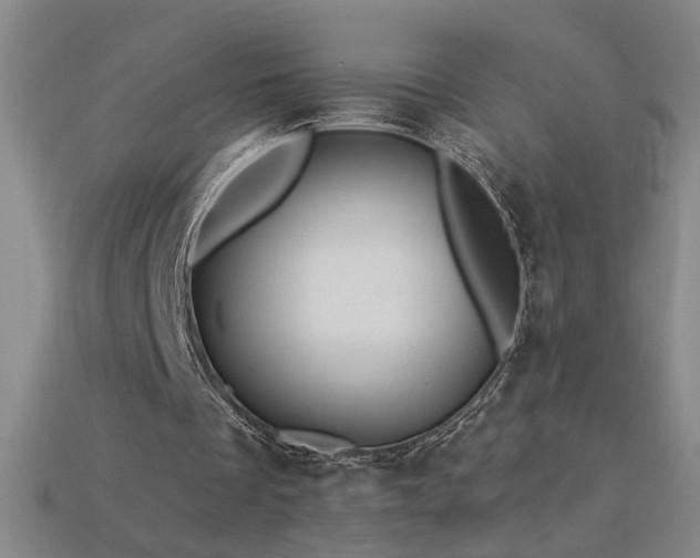 X0000114120289200910051516