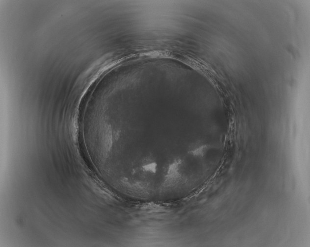 X0000114120290200910051516