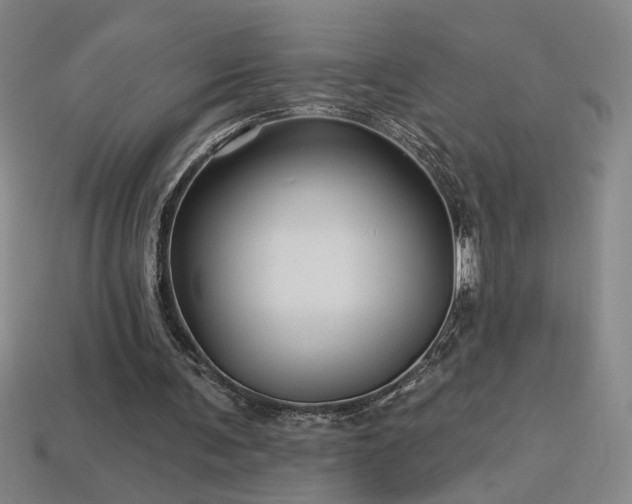 X0000114120291200910051516