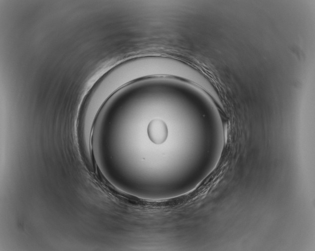 X0000114120292200910051516