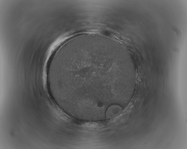 X0000114120294200910051516