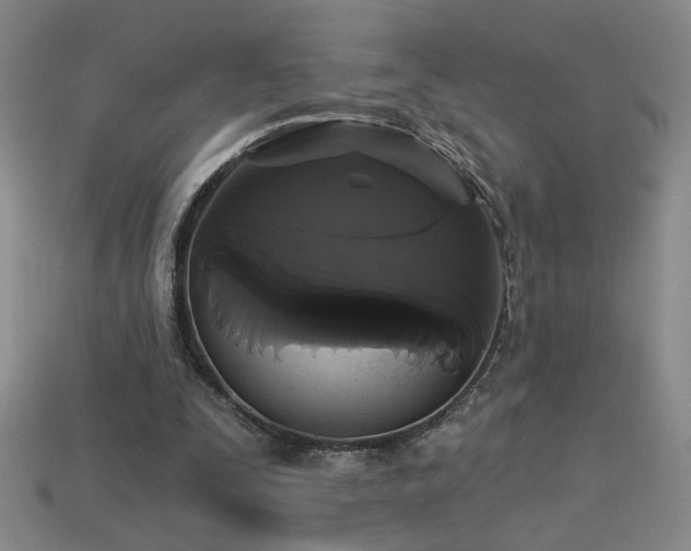 X0000114120295200910051516