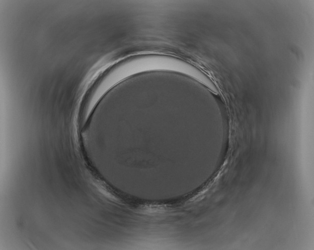 X0000114120296200910051516