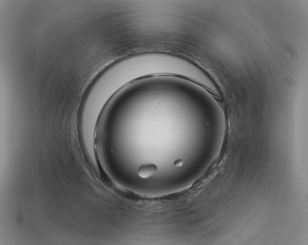 X0000114120297200910051516