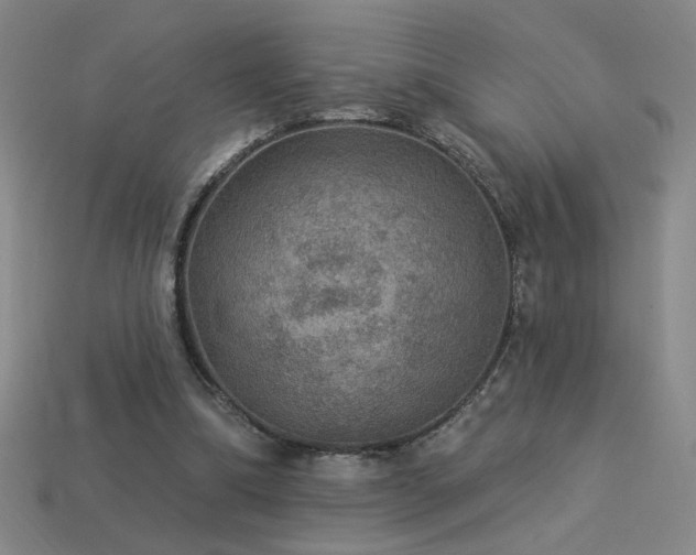 X0000114120298200910051516