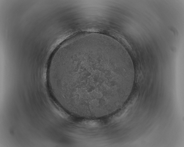 X0000114120299200910051516