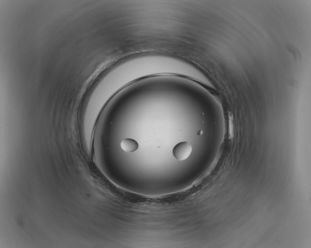 X0000114120300200910051516