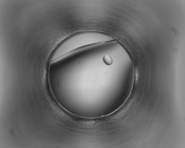 X0000114120301200910051516