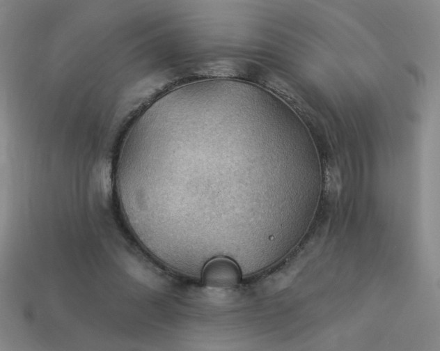 X0000114120302200910051516