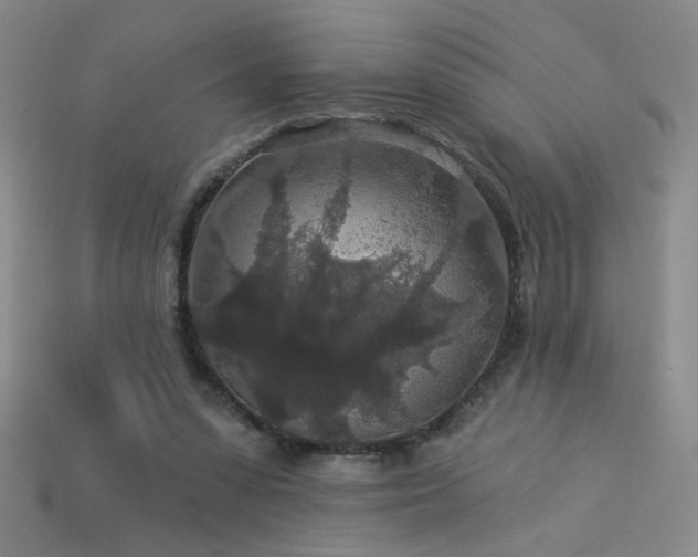 X0000114120303200910051516