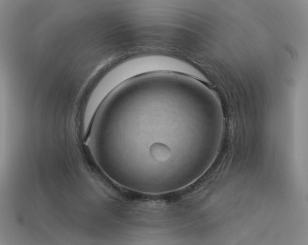 X0000114120304200910051516