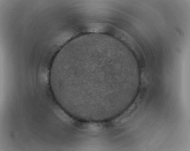 X0000114120305200910051516