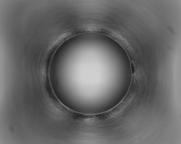 X0000114120306200910051516