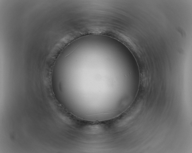 X0000114120307200910051516