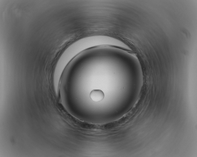 X0000114120308200910051516